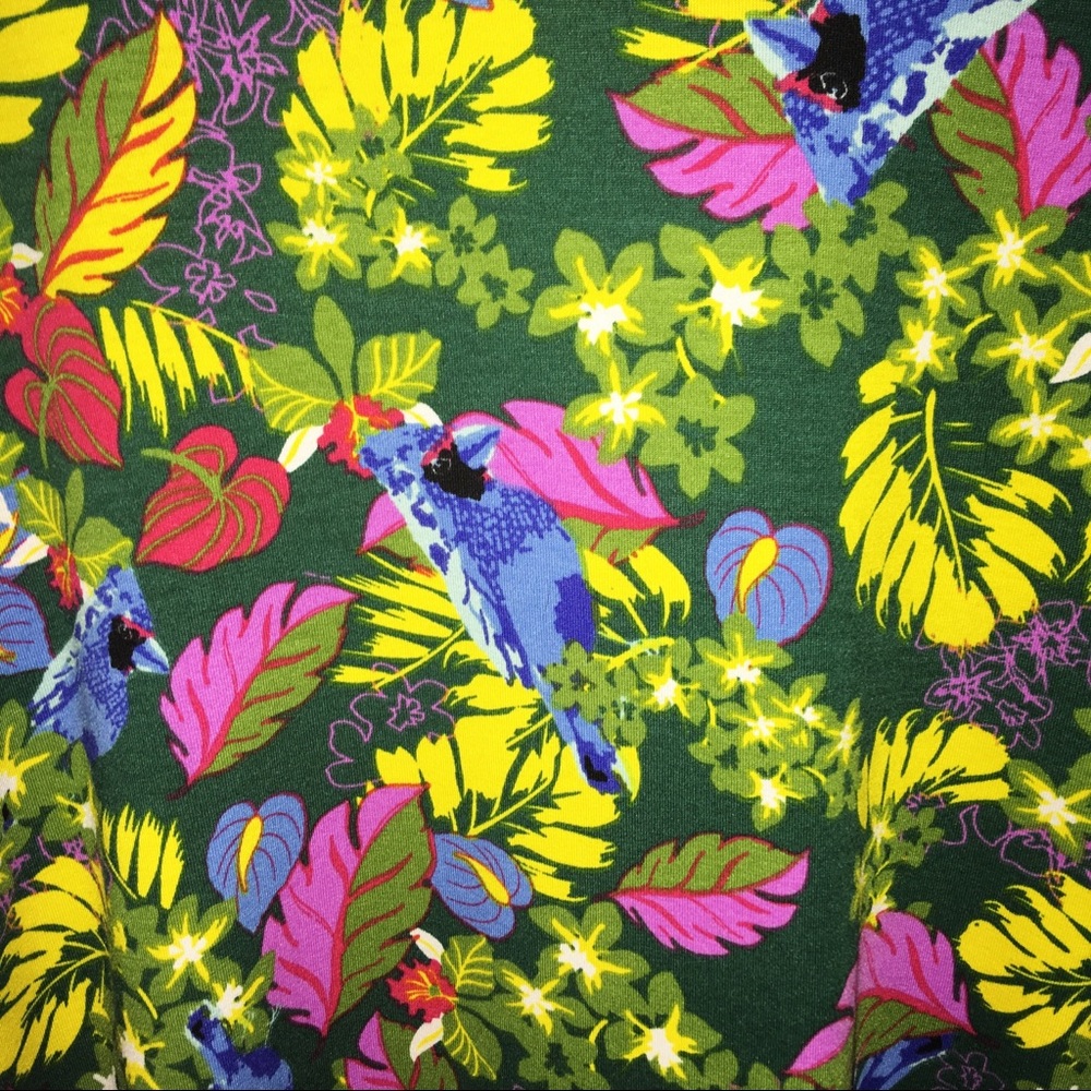 ⭐️3 for $15⭐️ LuLaRoe Tropical Blue Jay Tunic Top - Picture 5 of 5